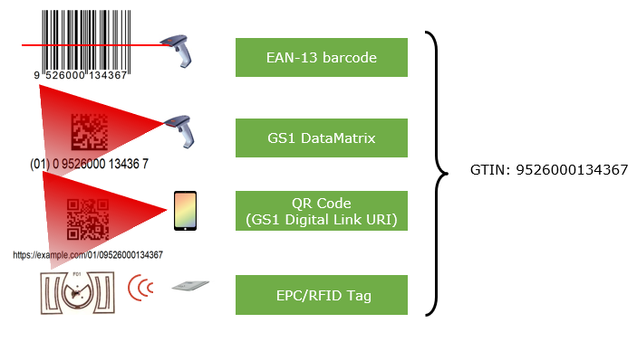 A depiction of the same GTIN expressed in different syntaxes in differnet data carriers