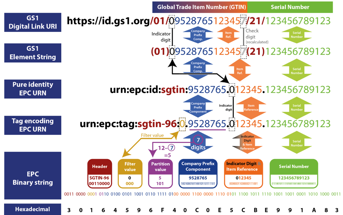 Diagram showing how the same serialised GTIN can be expresed in multiple GS1 syntaxes