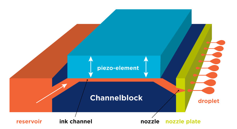 Diagram the key components of a piezo-electric printer.