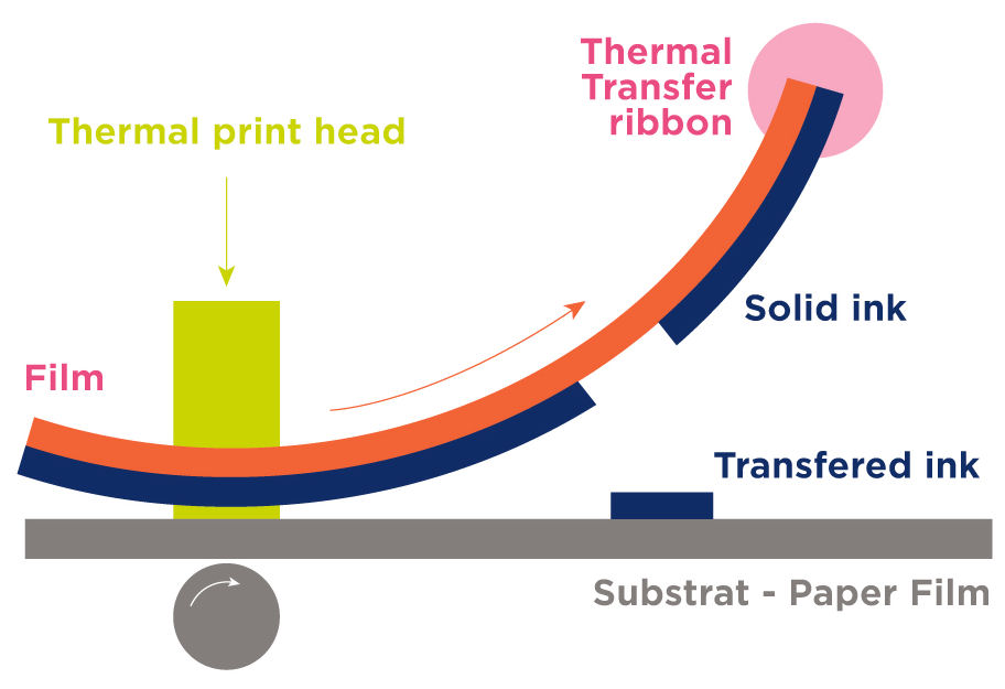 A diagram showing how a thermal transfer ribbon passes over a thermal print head to print on the substrate.