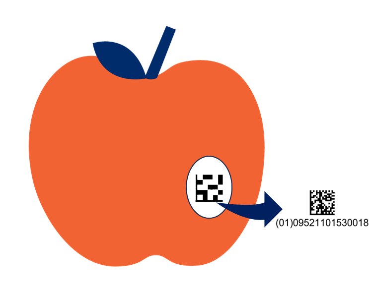 A depiction of an apple. A sticker contains a GS1 DataMatrix with only the GTIN shown in the HRI